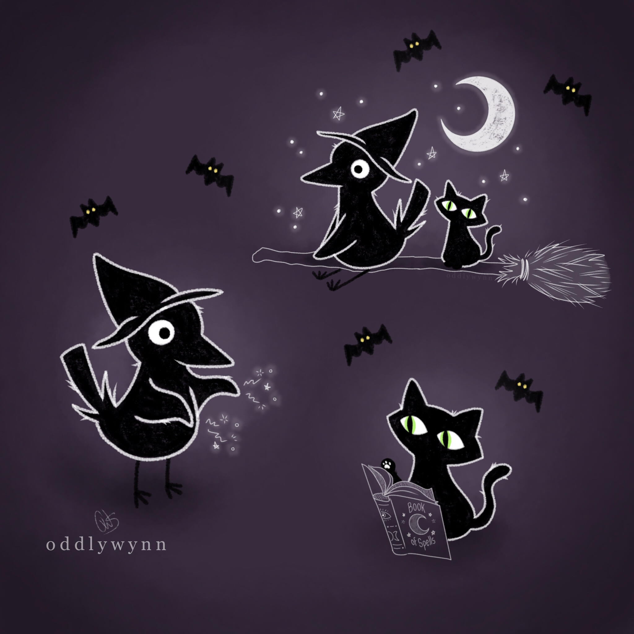 Witchy drawings of a bird and a cat. Flying on a broom, reading a spell book, and casting magic.
